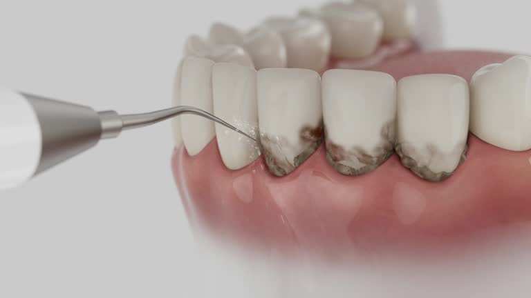 Reliable Dental contractor in Middleburg, PA by Dentist Open Now